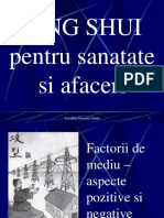 Feng-Shui-Pentru-Sanatate-Si-Afaceri.pps