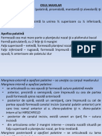 maxilar-si-mandibula.pdf