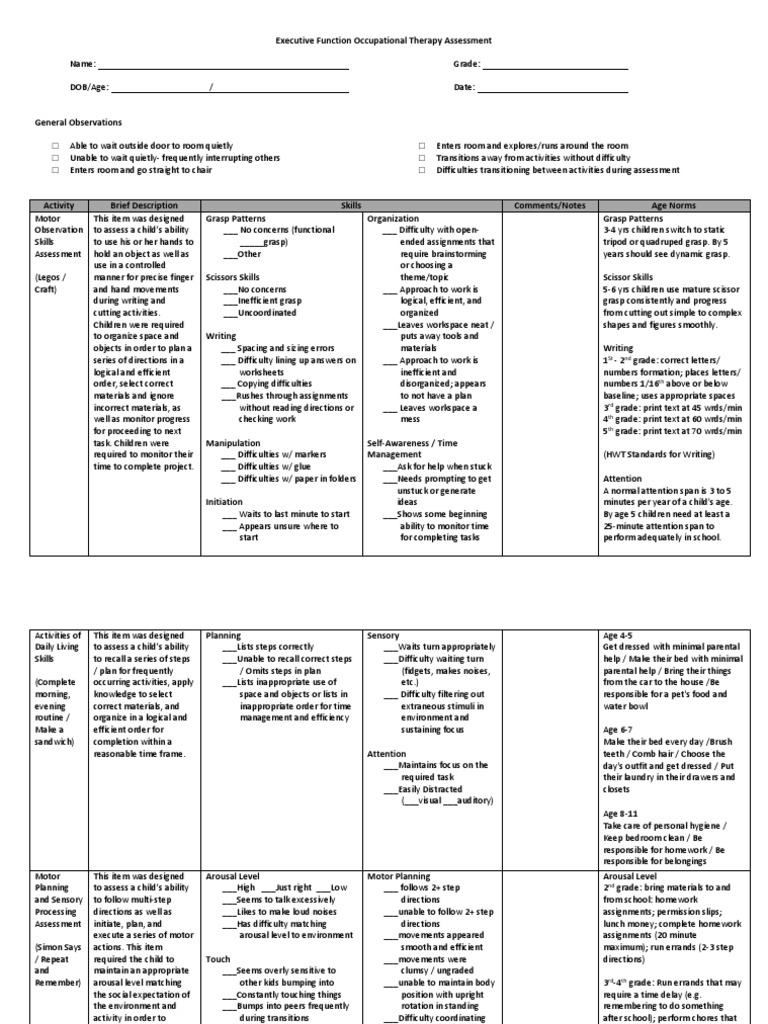 Executive Function OT Assessment Guide | PDF | Emotional Self ...
