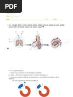 Circulação Do Ar 6ºano.doc 2