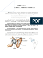 Anatomia Articulatiei Coxo-femurale