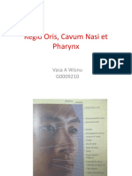 Regio Oris, Cavum Nasi et Pharynx.pptx