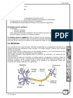 Biologia 6to-Mayo 2