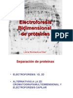 Electroforesis Bidimensional
