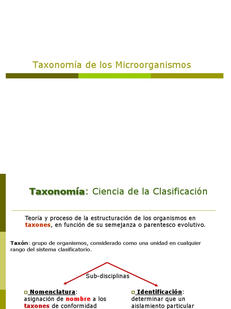 Taxonomia Bacteriana unlp Taxonomía (biología) Rna ribosomal