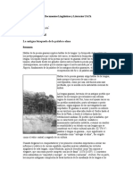 Poesía guaraní: La antigua búsqueda de la palabra-alma