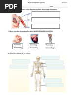 Test Musculoskeletal System