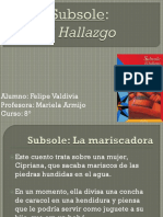 101381310-Libro-Subsole.pptx