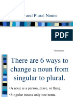 Singular and Plural Nouns Grammar Drills - 32120