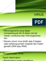 Virus