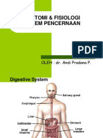 Anatomi Fisiologi Pencernaan2