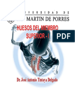 HUESOS-SUPERIORES-1.pdf