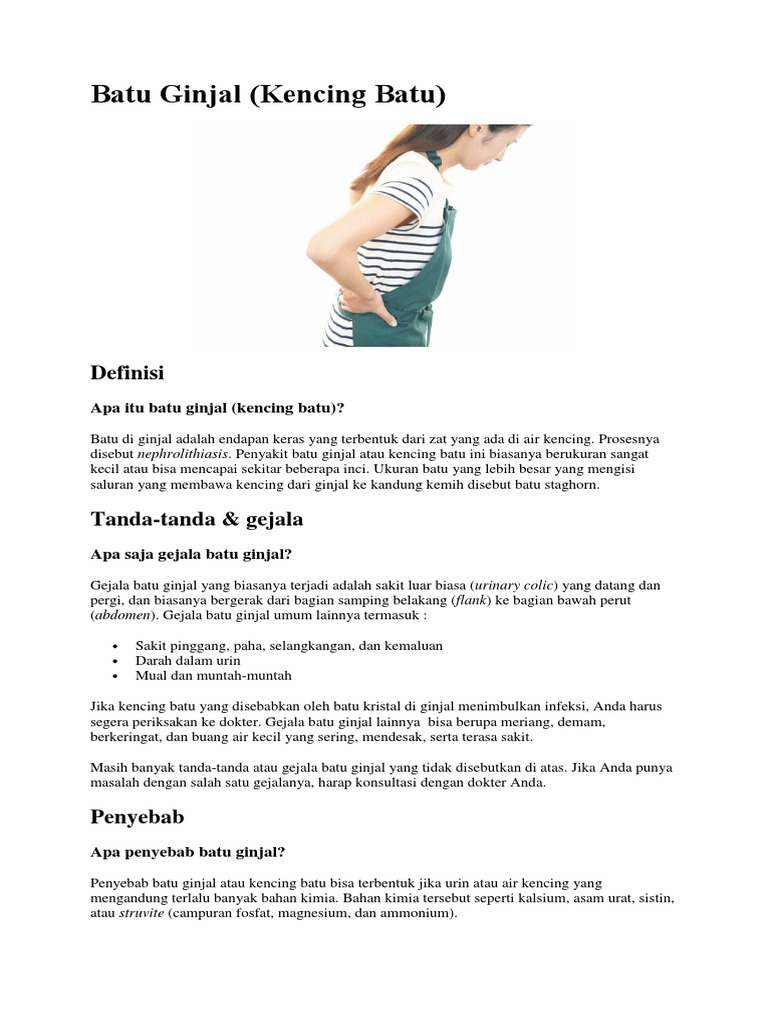 Download 6100 Koleksi Gambar Ginjal Umum Terbaik HD