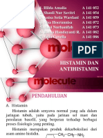 PPT_Histamin_Antihistamin.pptx