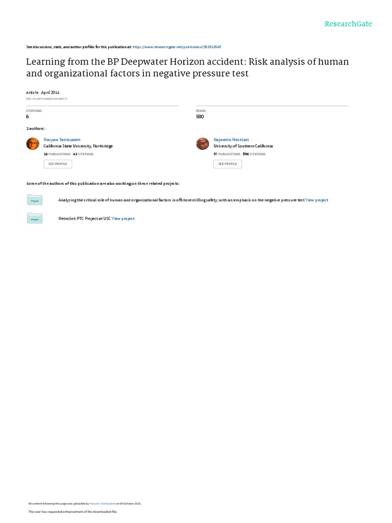 Risk Analysis Deep Water Horizon | PDF | Minerals Management Service ...