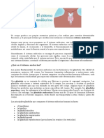 Sistema Endocrino