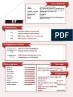 Curiculum Vitai PDF