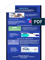 Imagen Infografia Muestreo