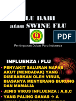 FLU BABI