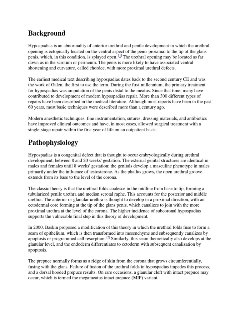 Hipospadia Genitourinary System Animal Anatomy