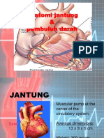Anatomi Jantung & Pembuluh Darah