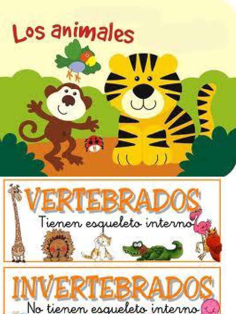 Animales Vertebrados E Invertebrados Ala Esqueleto