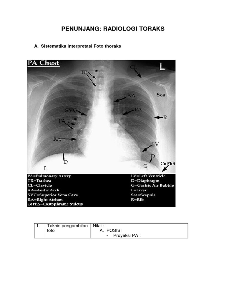 RADIOLOGI | PDF