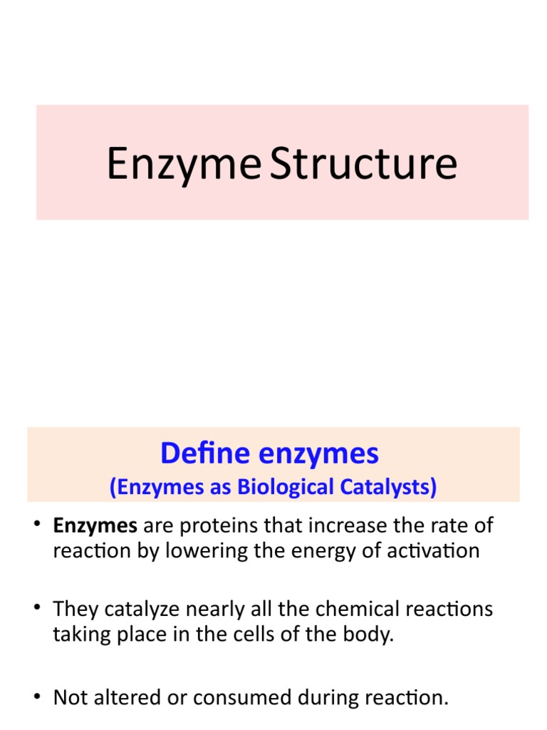 Enzymes Pres PDF Cofactor (Biochemistry) Enzyme