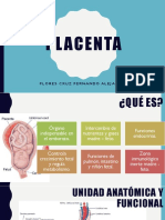 Funciones y desarrollo de la placenta