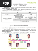 2 - Ficha Informativa -  Tranmissão de Vida.doc