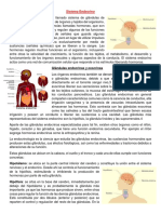 Sistema Endocrino