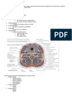 Trauma Cervical