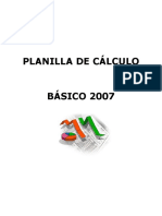 Guía básica de Excel 2007