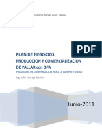 PLAN DE NEGOCIOS SAN JUAN Nuevos formatos  3.doc