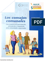 Consejos Comunales.pdf