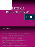 45 Sist Reprodutor PDF