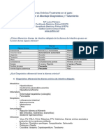 Diarrea Crónica Frustrante en El Gato: Claves en El Abordaje Diagnóstico y Tratamiento