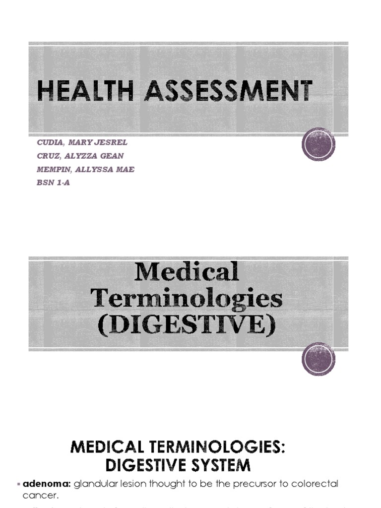 Digestive System Medical Terms Guide | PDF | Gastrointestinal Tract ...