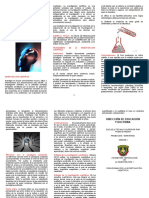 Triptico Paradigmas - Metodologia de La Investigación