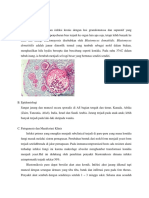 tugas refrat radiologi - blastomycosis.docx