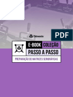 Ebook Passoapasso Matrizesserigraficas