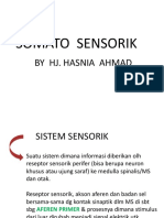 Somato Sensorik