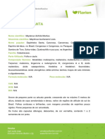 ESPINHEIRA-SANTA-1.pdf