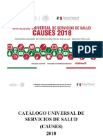 Causes 2018 PDF