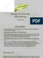 Mengenal Serai Dan Manfaatnya