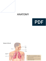 CASE 1 Anatomy
