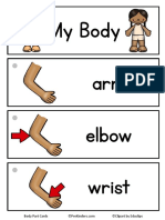 My Body Arm Elbow Wrist: Body Part Cards ©clipart by Educlips