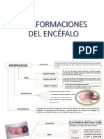 3.malformaciones Del Encéfalo