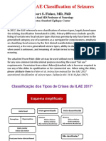 Classificação Crises 2017-Publico - Traduçao