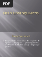 2 Ciclo geoquimicos